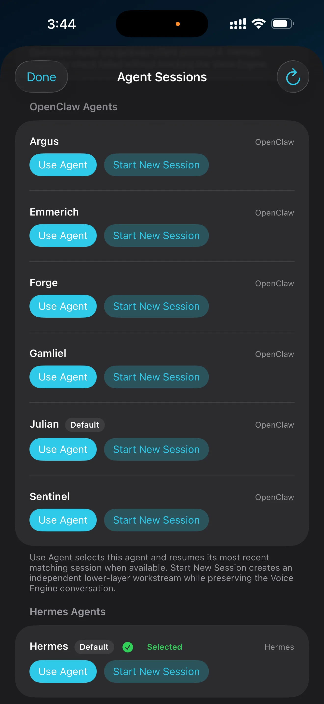 OpenClaw agents and sessions visible inside VoiceClaw Realtime on iPhone
