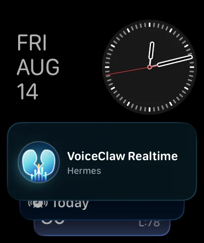 VoiceClaw Realtime in the Apple Watch Smart Stack
