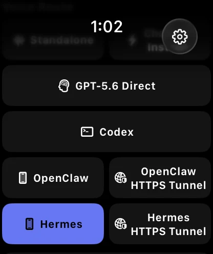 VoiceClaw Realtime voice route picker on Apple Watch